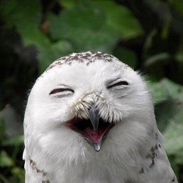 ���, �����������, 35 ���