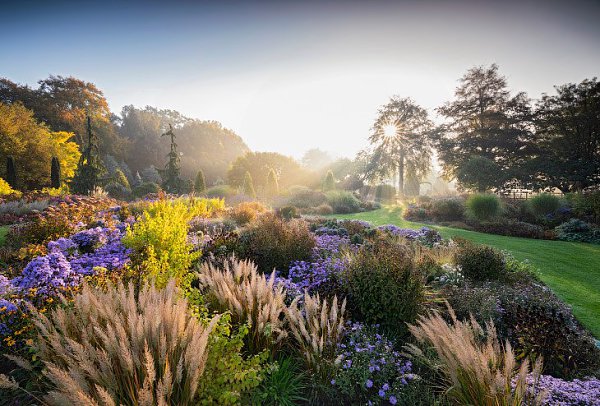   - . UK International Garden Photographer of the ...