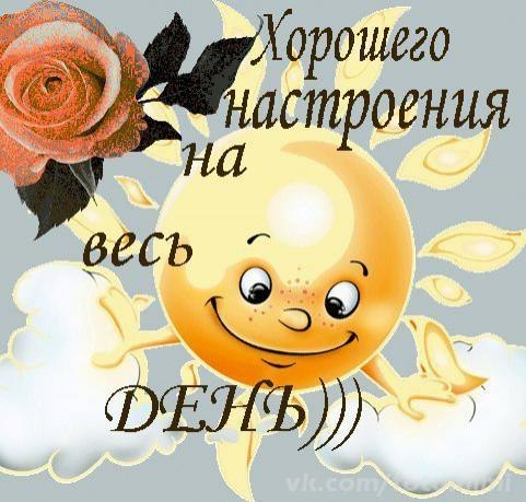   ,    . - 29  2019  17:02