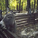 ���� ������, ��������� - ��������� 16 ������� 2018 � ������ ������ ������� �����������