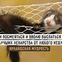 ���� ������, ������� - ��������� 23 �������� 2018 � ������ ������ ��������