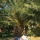 ���� ������, ����, 46 ��� - ��������� 16 ���� 2018 � ������ ���� ����������