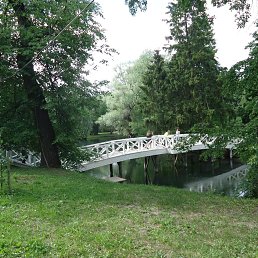 ������, �������, 72 ����