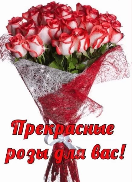   ,    . - 5  2019  11:59 - 2