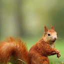 ���� ������, ����������� - ��������� 28 �������� 2018 � ������ ������ ��������