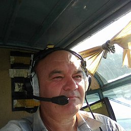 ����, �������, 43 ����