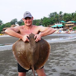 Teplomax, ��������, 45 ���