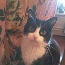 ���� �������, ����, 46 ��� - ��������� 25 ������� 2019 � ������ ���� ����������