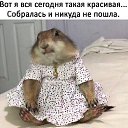  , , 49  -  6  2018   ...  )