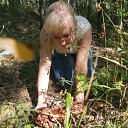 ���� �����, ������, 41 ��� - ��������� 30 ������� 2018 � ������ ���� ����������