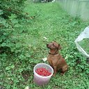 ���� ����, ���������, 59 ��� - ��������� 12 ������� 2019 � ������ ���� ����������