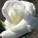 ���� Lilita, �������, 56 ��� - ��������� 5 ������� 2019 � ������ ���� ����������