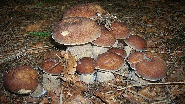  ! - 7  2018  10:08 - 4