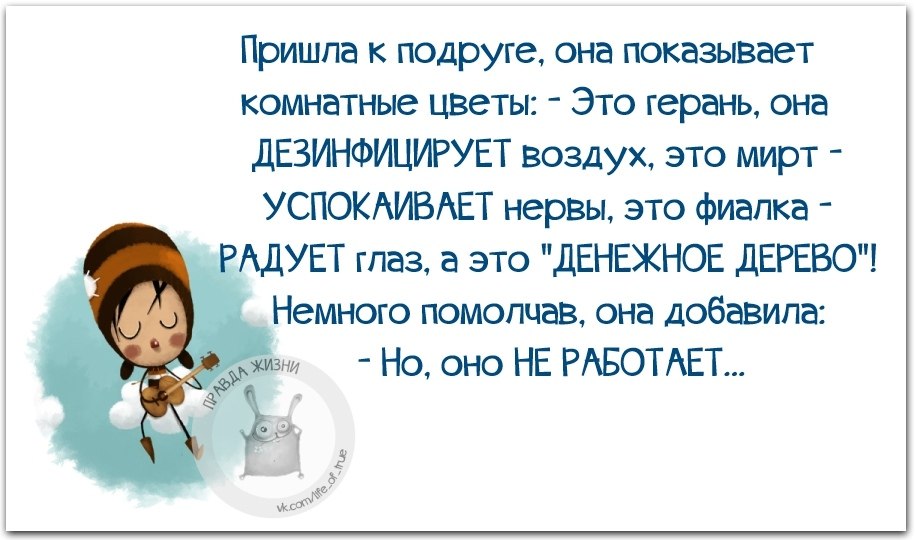 Радует глаз это