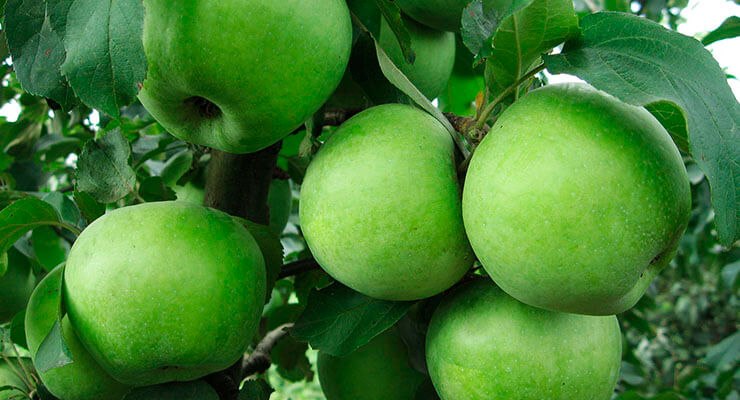  - 4  2018  20:09 - 3