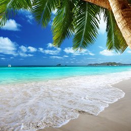 ���� ���������, �������, 43 ���� - ��������� 20 �������� 2018