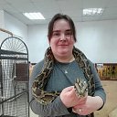 ���� �������, �������� - ��������� 17 ����� 2019 � ������ ���� ����������