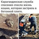 ���� ����, ������ - ��������� 12 ������� 2018 � ������ �� ����������