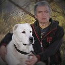 ���� �����, ����������, 74 ���� - ��������� 7 ����� 2019 � ������ ���� ����������