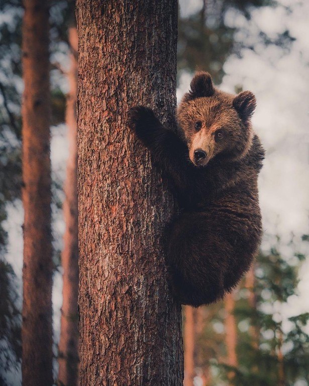 ������ �����! - 26 ������� 2018 � 12:44