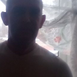 ������, ������ �����, 45 ���