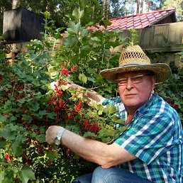 ���� ������, ������ - ��������� 30 ���� 2018