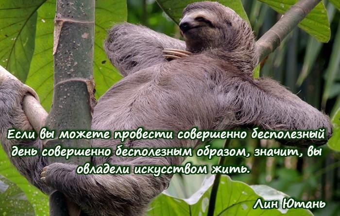 Vladislav Maznichenko - 8  2019  22:14