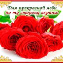 ���� ������, ������-��-����, 38 ��� - ��������� 18 ������ 2018