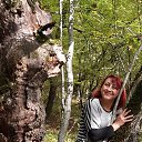 ���� �����, �����������, 63 ���� - ��������� 4 ������ 2018 � ������ ���� ����������