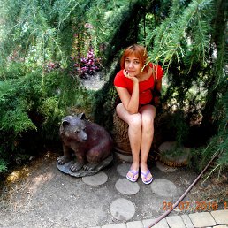 ����, 31 ���, ���������