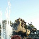 ���� �������, ������, 59 ��� - ��������� 8 ������ 2019 � ������ ���� ����������