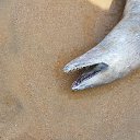 ���� ����� �������, ������-��-����, 49 ��� - ��������� 25 ������ 2018 � ������ ���� ����������