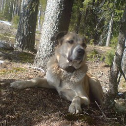 ����, ������, 57 ���