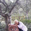 ���� �������, ����������� - ��������� 7 ������� 2018 � ������ ���� ����������