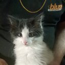 ���� ������, �������� ���, 59 ��� - ��������� 30 ������ 2019 � ������ ������ ��������