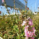 ���� �����, ������, 44 ���� - ��������� 23 �������� 2018 � ������ ������� �����