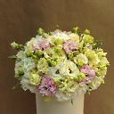 ���� �������, ������, 49 ��� - ��������� 13 ���� 2018 � ������ �����������