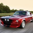 ���� �������, �����, 41 ��� - ��������� 10 ������� 2018