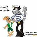 ���� Alex, ������, 69 ��� - ��������� 12 ������ 2019 � ������ ���� ����������