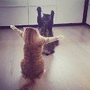 ���� Helga, ������ - ��������� 31 ���� 2018 � ������ �������