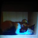 ���� ��������:maik 2134 ������"�������", �����-���������, 47 ��� - ��������� 30 �������� 2018 � ������ ���������� ������