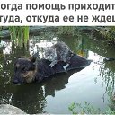 ���� ���� �������� �����... �� ������� �� ����������