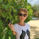 ���� ������, ������������ - ��������� 16 �������� 2018 � ������ ���� ����������