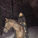 ���� �����, ������ - ��������� 25 ������� 2018 � ������ ���� ����������