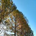  ,  -  30  2018   30.09.2018