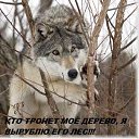 ���� Archi, ����������� - ��������� 29 ������� 2018 � ������ ���� ����������