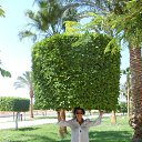 ���� ����, ������, 46 ��� - ��������� 14 ������� 2018 � ������ ���� ����������