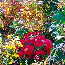 ���� U-jin, ������, 54 ���� - ��������� 24 ������� 2018 � ������ ���� ������-��������