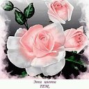 ���� ����, ����� - ��������� 14 ������� 2018