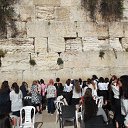 ���� ����� ���������, ����-����, 43 ���� - ��������� 5 ����� 2019 � ������ ���� ����������